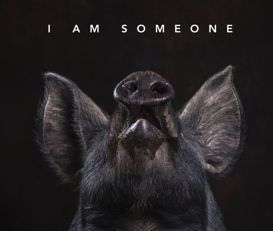 View I Am Someone by Gary Sheppard