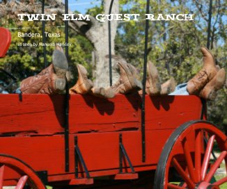 Twin Elm Guest Ranch book cover