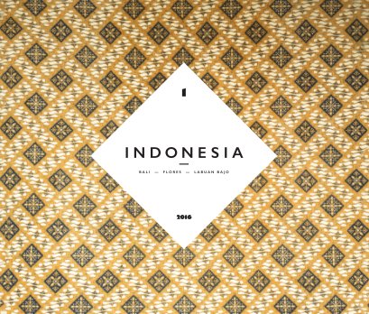 INDONESIA 2016 I book cover