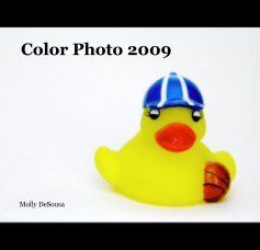 Color Photo 2009 book cover