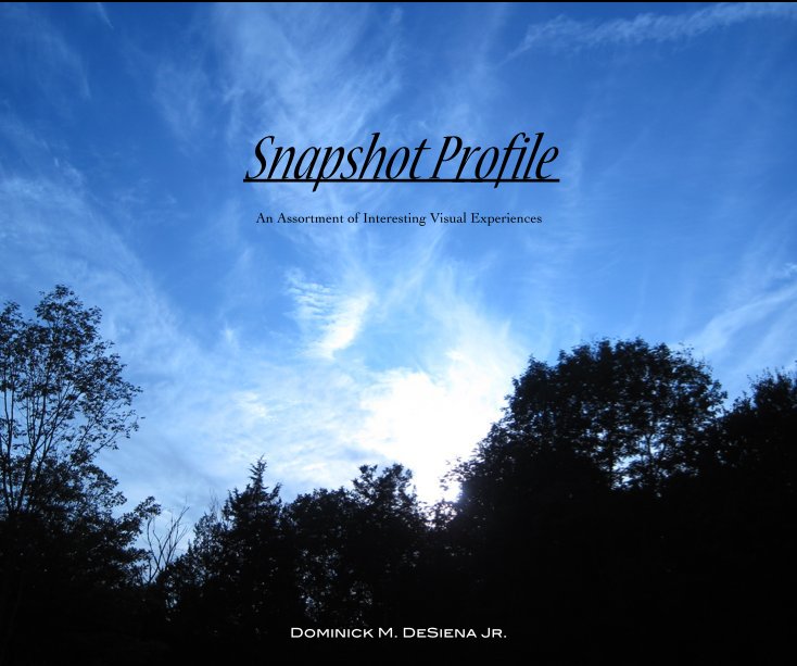 View Snapshot Profile by Dominick M. DeSiena Jr.