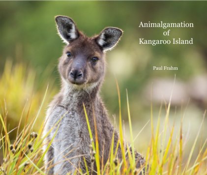 Animalgamation of Kangaroo Island book cover