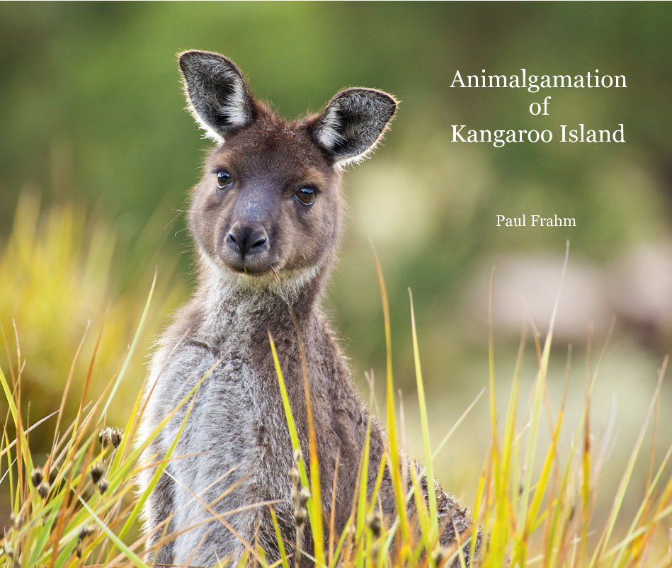 View Animalgamation of Kangaroo Island by Paul Frahm