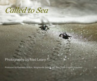 Called to Sea book cover