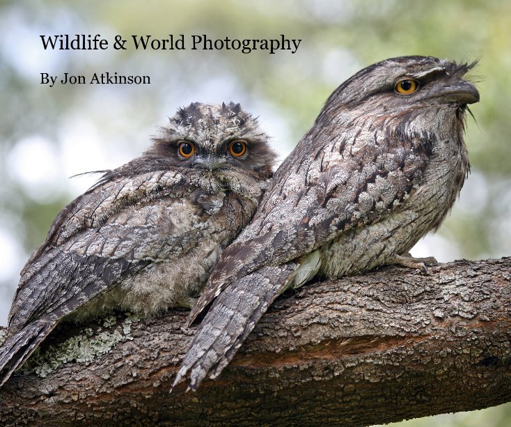 View Wildlife & World Photography by Jon Atkinson