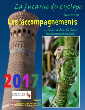LA LUCARNE DU CYCLOPE - numéro 10 (Arts et Vie 2017) book cover