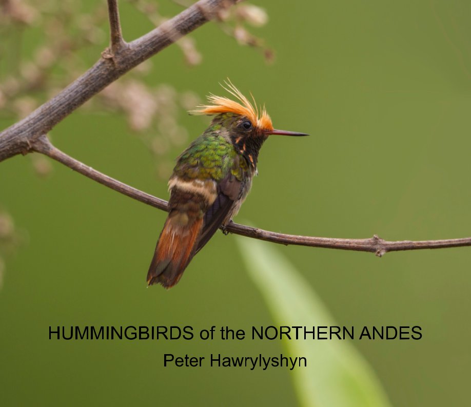 Hummingbirds of the Northern Andes nach Peter Hawrylyshyn anzeigen