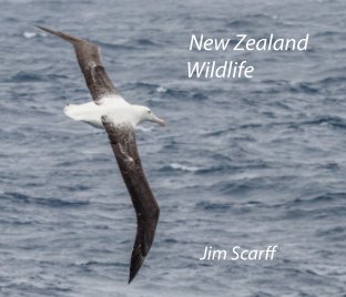 New Zealand Wildlife book cover