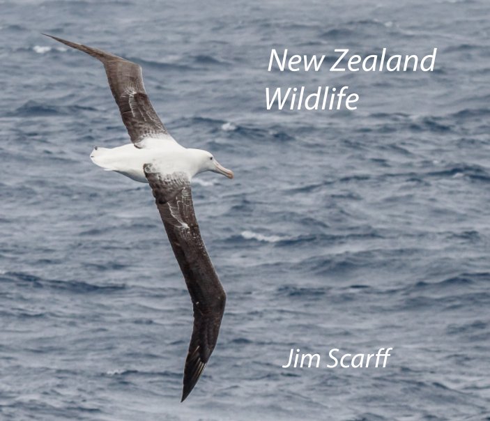 View New Zealand Wildlife by Jim Scarff