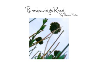 Breckenridge Road book cover