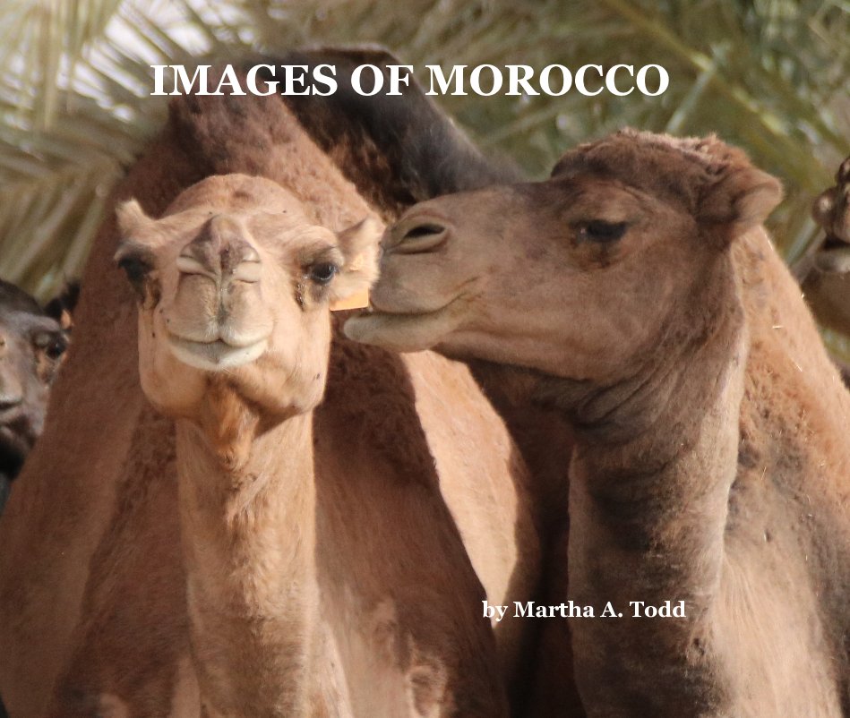 Ver IMAGES OF MOROCCO por Martha A. Todd