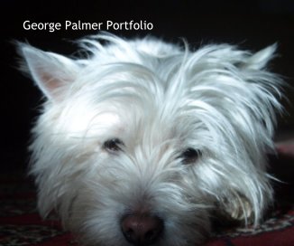 George Palmer Portfolio book cover