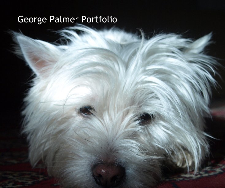 View George Palmer Portfolio by booshman