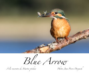 Blue Arrow book cover