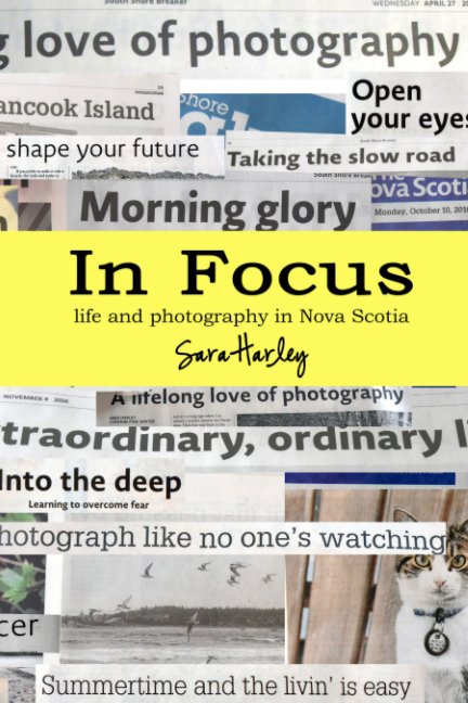 View In Focus by Sara Harley