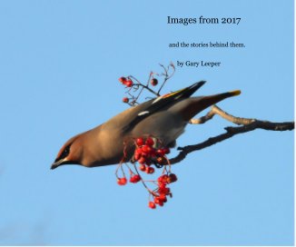 Images from 2017 book cover