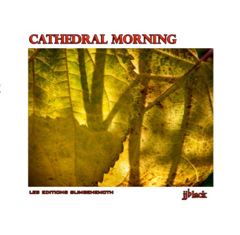View Cathedral Morning by jjblack