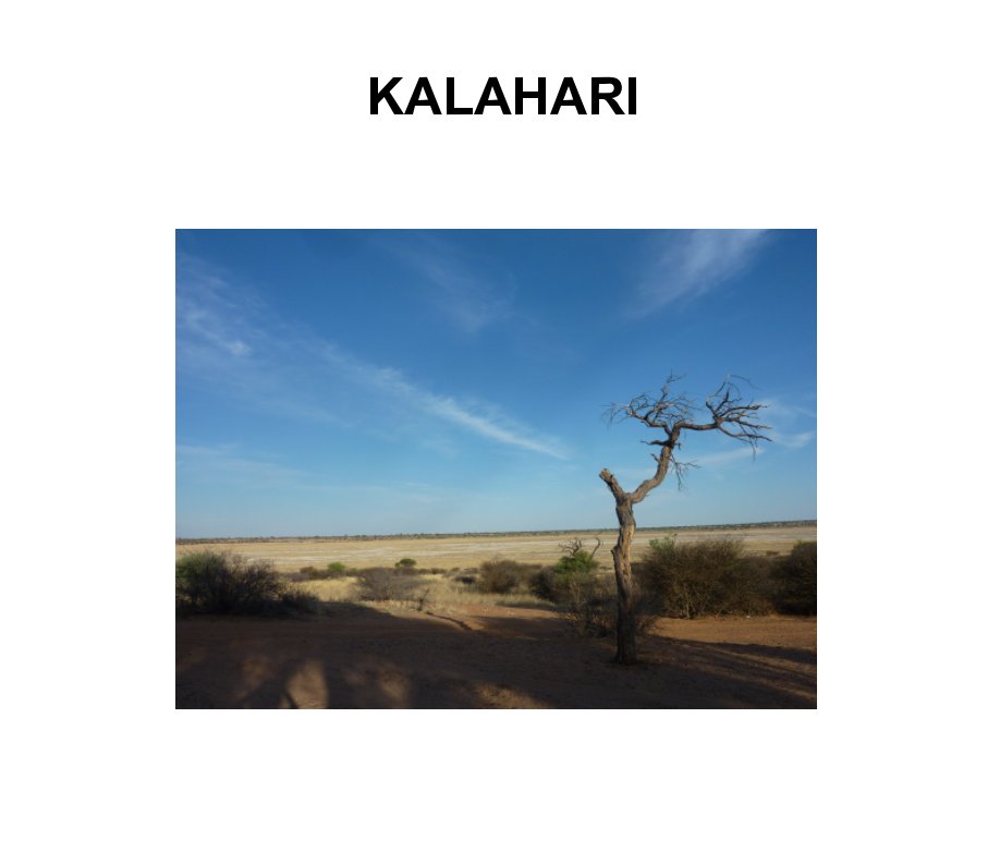 View Kalahari 2017 by Mike Bowden