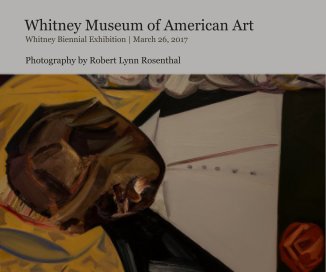 Whitney Museum of American Art book cover