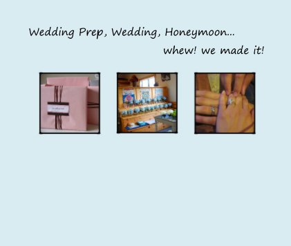 Wedding Prep, Wedding, Honeymoon... whew! we made it! book cover
