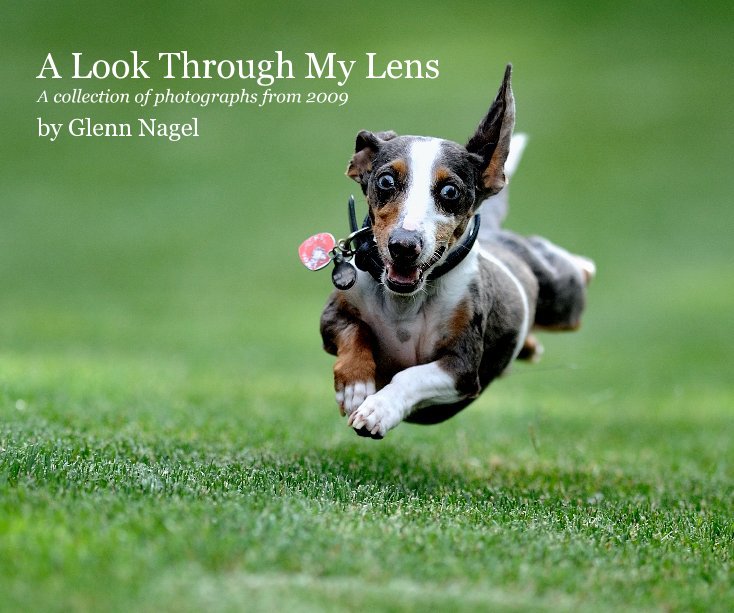 Visualizza A Look Through My Lens: 2009 di Glenn Nagel