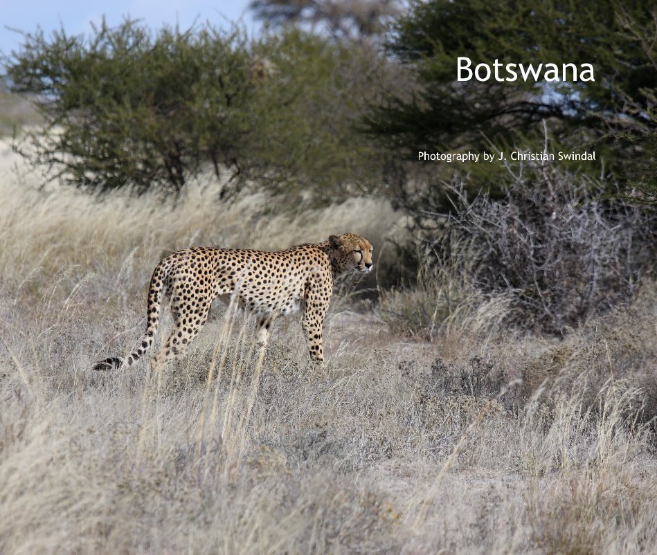 View Botswana by Photography by J. Christian Swindal