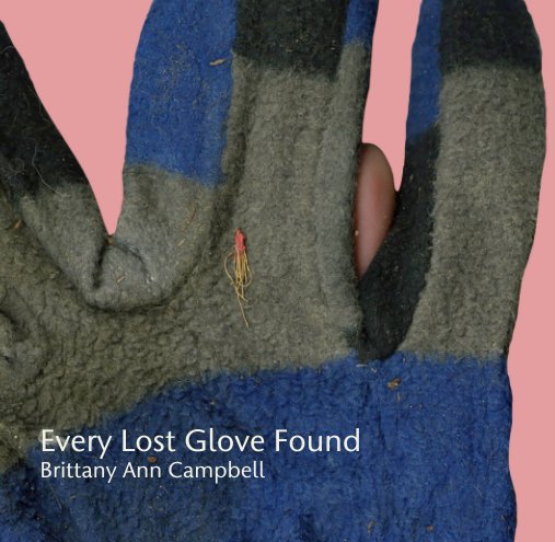 View Every Lost Glove Found by Brittany Ann Campbell