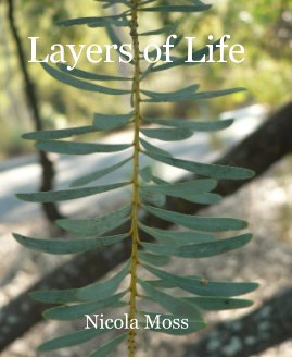 Layers of Life book cover