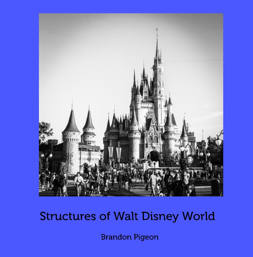 View Structures of Walt Disney World by Brandon Pigeon
