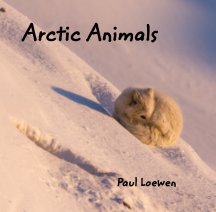 Arctic Animals book cover