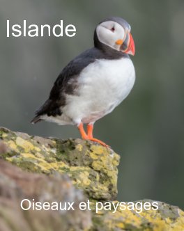 Islande book cover