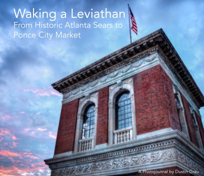 Waking a Leviathan book cover