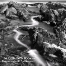 The Little B&W Book Vol.1 book cover