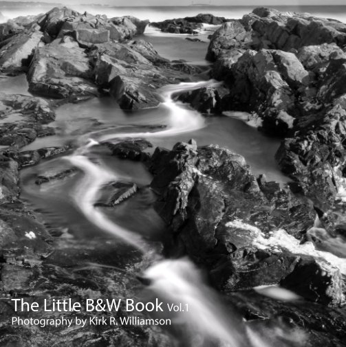 View The Little B&W Book Vol.1 by Kirk Williamson