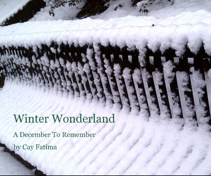 View Winter Wonderland by Cay Fatima