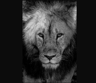 Black & White and Plain book cover