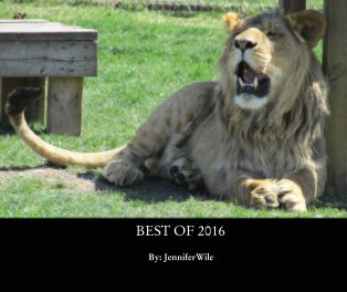 BEST OF 2016 book cover