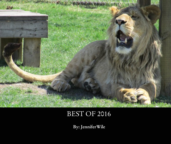 View BEST OF 2016 by By: JenniferWile