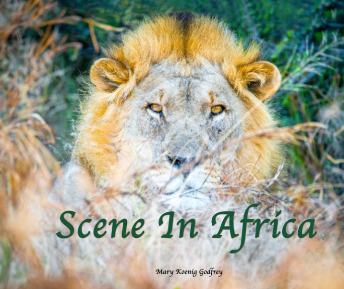 View Scene in Africa by Mary Koenig Godfrey