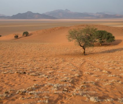 NAMIBIA book cover