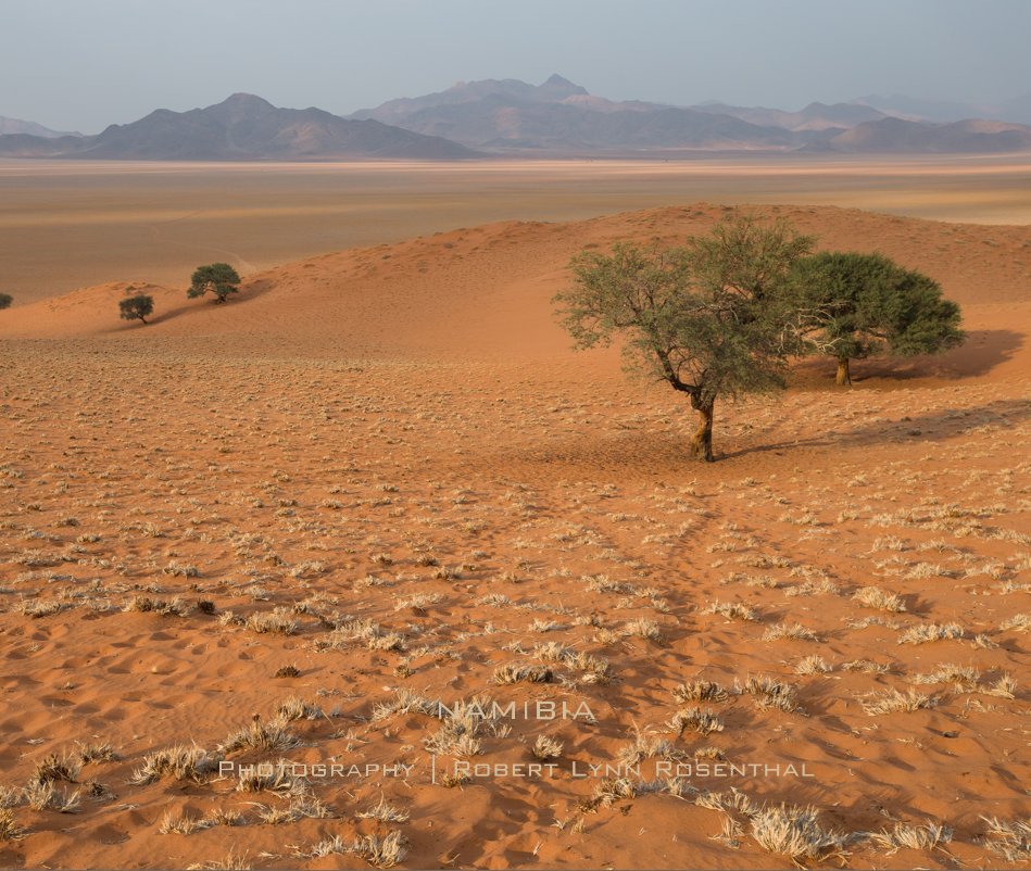 View NAMIBIA by Robert Lynn Rosenthal