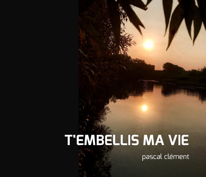 View T'embellis ma vie by Pascal Clément, 2017