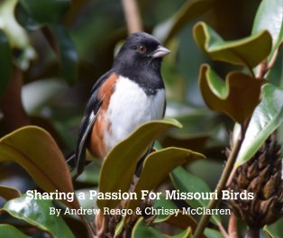 Sharing a Passion for Missouri Birds book cover