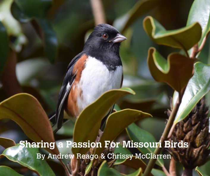 View Sharing a Passion for Missouri Birds by Andy Reago & Chrissy McClarren