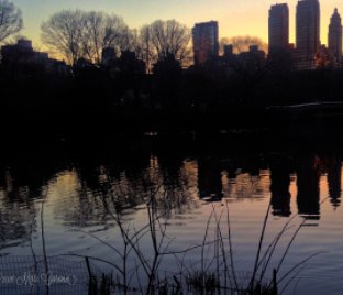 New York in Seasons book cover