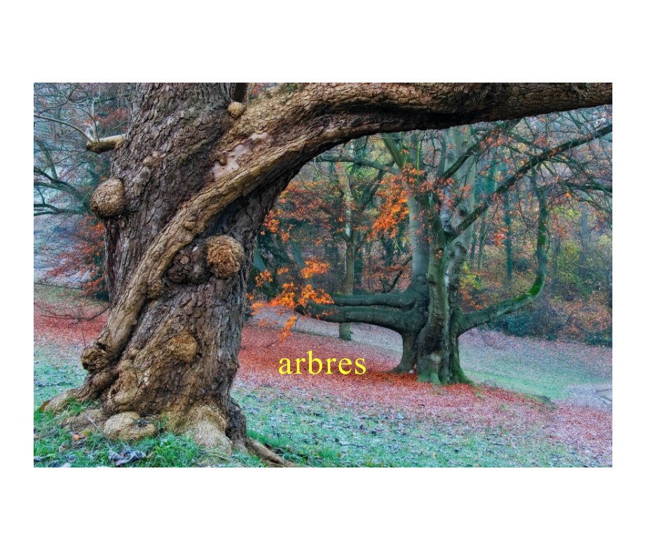 View Arbres by Richard Drèze