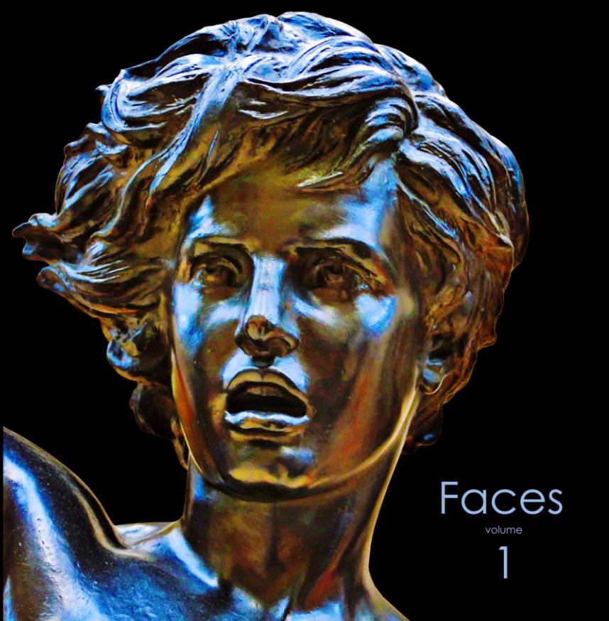 View Faces, Volume 1 by Michael McLaughlin