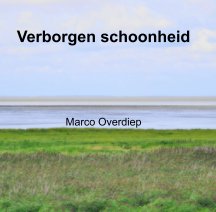 Verborgen schoonheid book cover