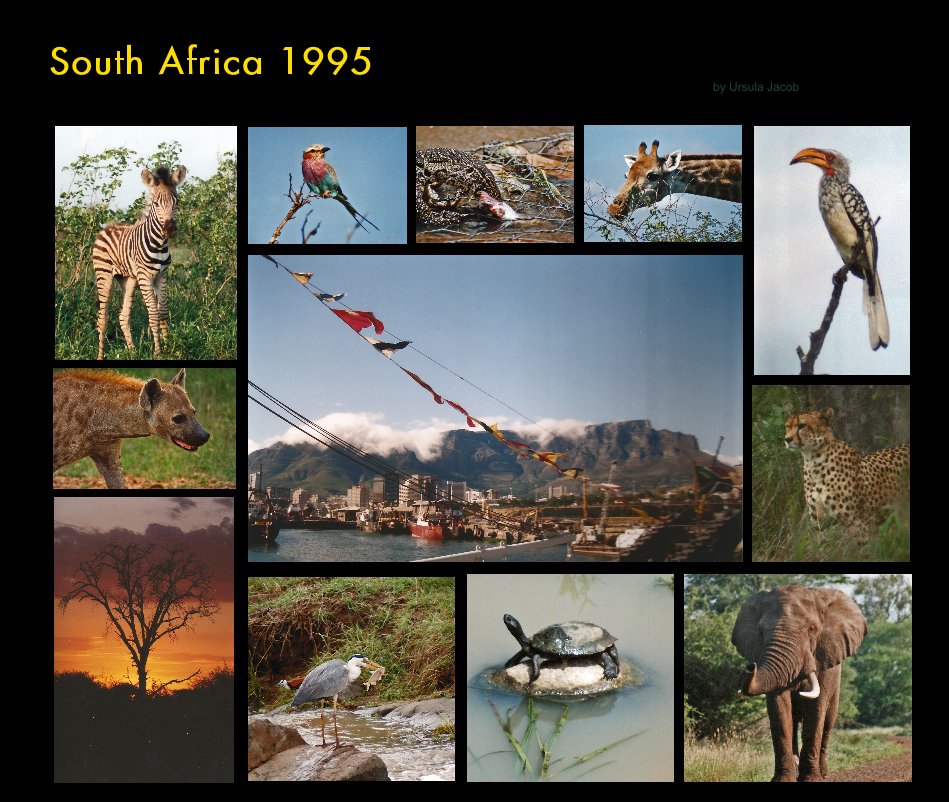 View South Africa by Ursula Jacob