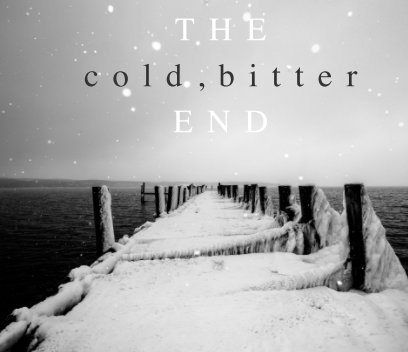 The Cold Bitter End Montauk N.Y. 11954 book cover